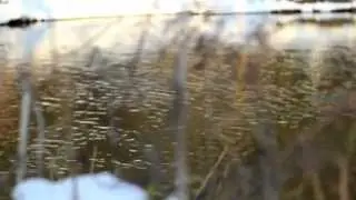 Annika - Row Boat (Official Video)