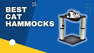 Top 3 best Cat Hammocks in 2023