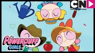 El festival de las verduras | Las Chicas Superpoderosas | Cartoon Network