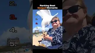 Ranking Best Seagull Moments #shortsviral #ranking