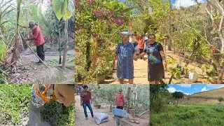 rotina do sítio visitas especiais + tentando salvar os coqueiros em tempos de seca