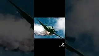 kamikaze seagull ft Alan astec