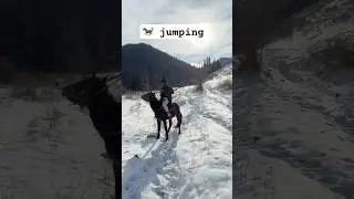 Horse 🐎 jumping ice 🧊 #love #shots #mountains #youtube #travel #enjoy #snow