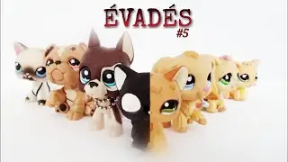 Série LPS: Évadés #5 [ la capitale ]