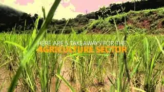 5 takeaways for the agriculture sector | Union Budget 2015