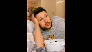 Watch Popcorn the Hamster Snuggle & Play - Like a Mini Dog!