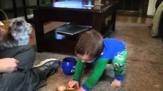 Counting cookies