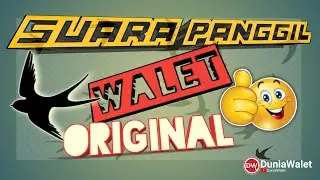 SUARA PANGGIL WALET ORIGINAL 2021