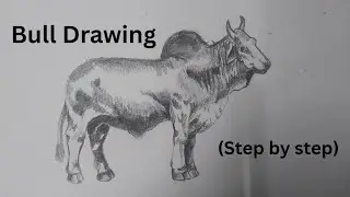 How to Draw a Bull | Step-by-Step Drawing Tutorial