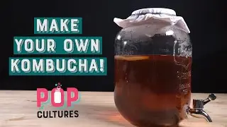 How to Make Kombucha | Easy Homemade Kombucha Recipe | Pop Cultures Kombucha Kit