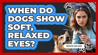 When Do Dogs Show Soft, Relaxed Eyes?
