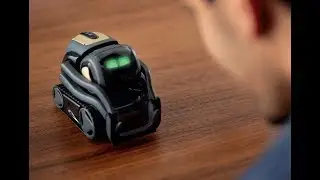 Vector Smart Automated Home Robot