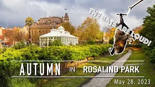 Rosalind Park in Autumn with the sounds of fruit bats