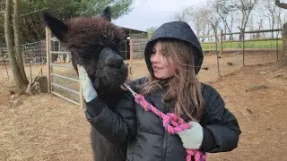Lolly Is Training For PAOBA!! 