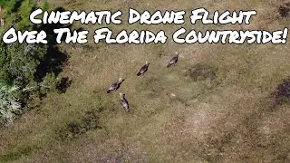 Cinematic Drone Flight Over The Florida Countryside!