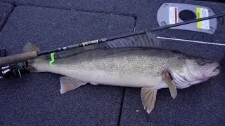 The Best Walleye Rod (St. Croix Victory - Crosshair)