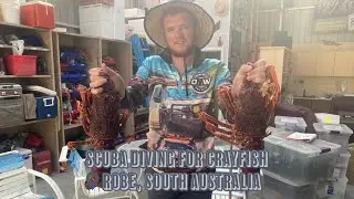 Scuba Diving for CRAYFISH | Robe, SA