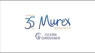 Murex Resorts & Ocean Gardener coral reef restoration on Bangka Island in North Sulawesi - Indonesia