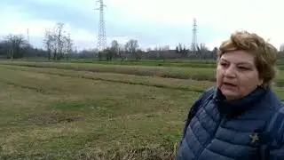 Le marcite lombarde