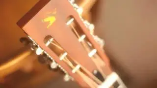 Skylark miniolian parlour resonator guitar - sound demo.