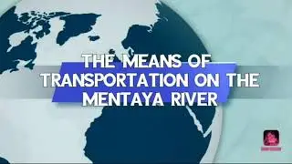 The means of transportation on the Mentaya River
