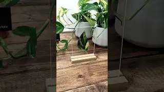 DIY Pressed Pothos Art : Easy 15-Second Plant Craft #plants  #plantsmakepeoplehappy