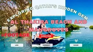 Exploring Qatar&rsquo;s Hidden Gem-Al Thakira Beach and Mangroves @footage-123- Amazing Beaches in Qatar