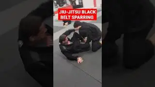 Jiu-Jitsu Black Belt sparring at Ground Control MMA.
