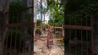 Hoshiarpur Museum entry gate #shorts