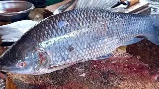 Expert Live Giant Black Carp Fish Cutting Skills | Black Carp Fish Cleaning And Cutting In Market