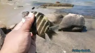 Fishing 🐟🐠by fishing hook at Elephant Rock Pasikuda