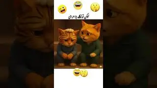 funny cat 🤪🤣 🤣 video plez 5k views my fasy video plez support plez