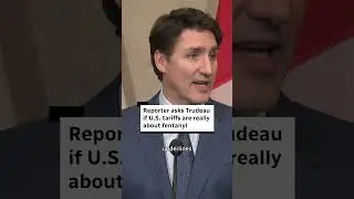 Reporter asks Trudeau if tariffs are really about fentanyl