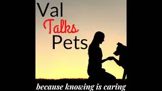 Spotlight on the Poodle: Celebrating a Misunderstood Breed - Audio