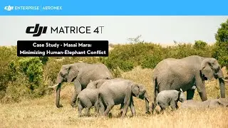 DJI Matrice 4T | Case Study - Masai Mara: Minimizing  Human-Elephant Conflict.