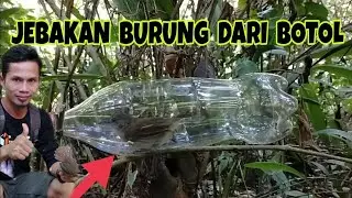 JEBAKAN BURUNG PRENJAK DARI BOTOL BEKAS