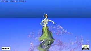 Nvidia Grace Demo (HD)
