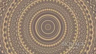 HEMI SYNC BRAIN MASTER ✨  Gamma & Theta Isochronic & Binaural Biohack Frequencies