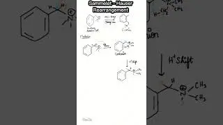 #Sommelet Hauser Rearrangement Mechanism #chemistry #viralshorts  #organicchemistrynotes