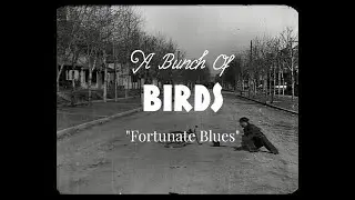 A Bunch Of Birds - Fortunate Blues (OFFICIAL VIDEO)