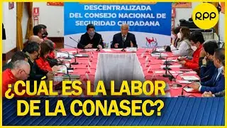 &iquest;Sesiones de la CONASEC ayudan en la lucha contra la inseguridad?
