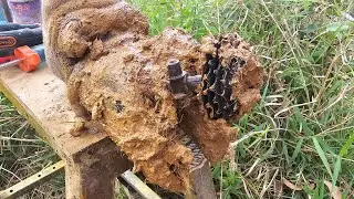 Can Antique Tools Save This Bull&rsquo;s Dribbling Hoof