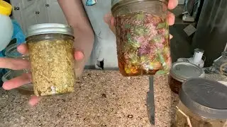 🌸HIERBAS frescas en miel 🌼| infusionar y fermentar #herbolaria