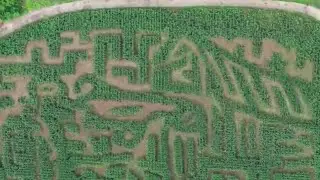 Queens County corn maze opens for the season