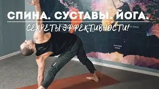 Спина.Суставы.Йога. Секреты Эффективности