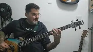 Loquero - The Vegan Doctor Show - Bass cover 🎧🎸