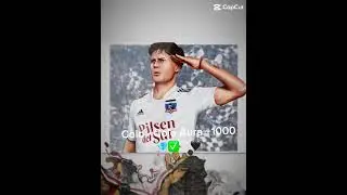 Colo - Colo Aura +1000💎✅🤍🖤