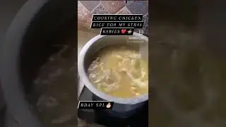 A Healthy Meal for Street Doggies🐕🦴|Cooking|#chicken #chickenrice #dog #streetdog #feeding#shorts