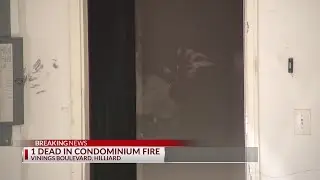 One person dies after pulled from Hilliard house fire