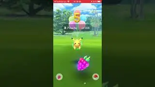 Limited edition pikachu